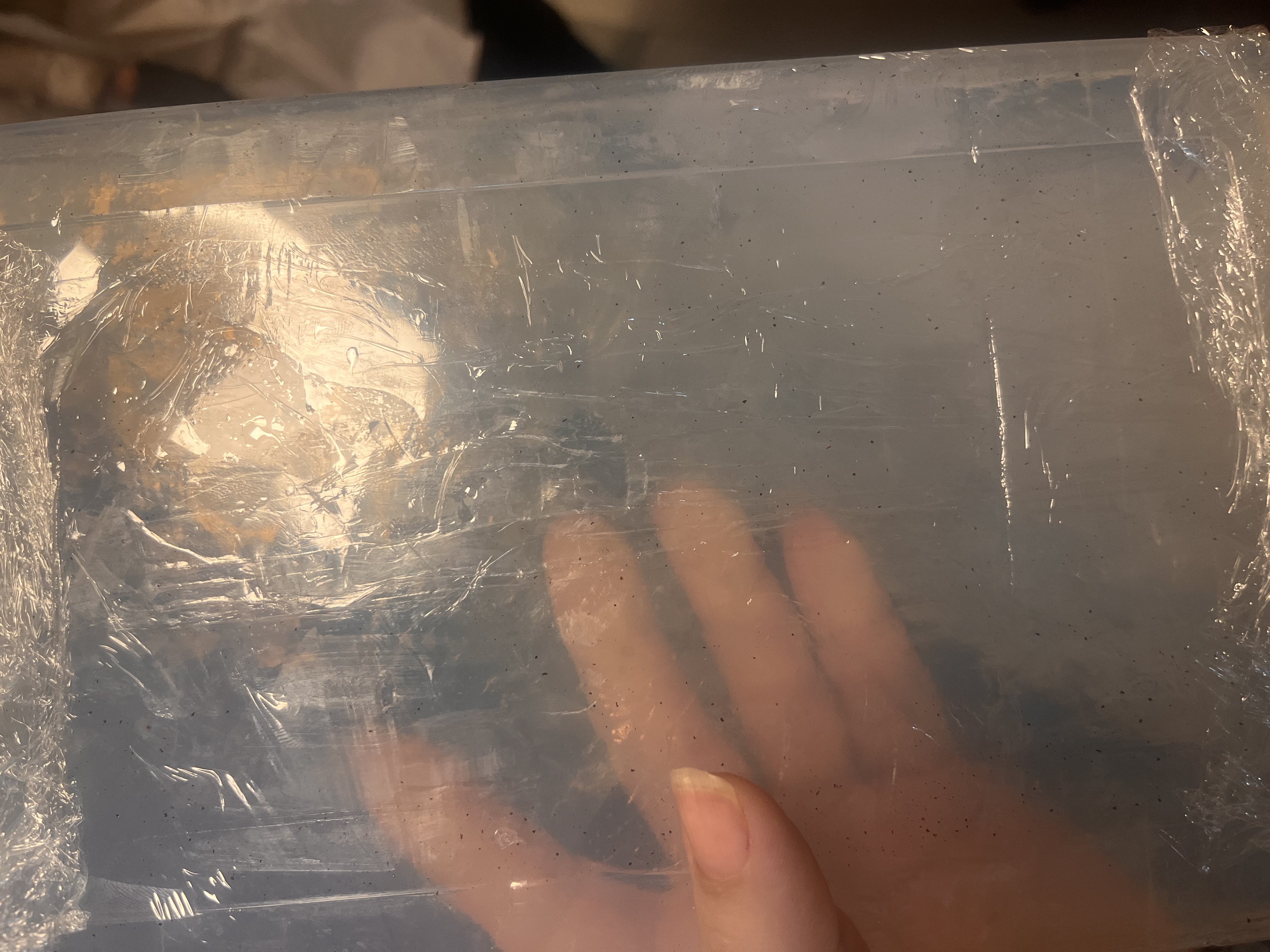 پایه صابون گلیسیرین فوق شفاف